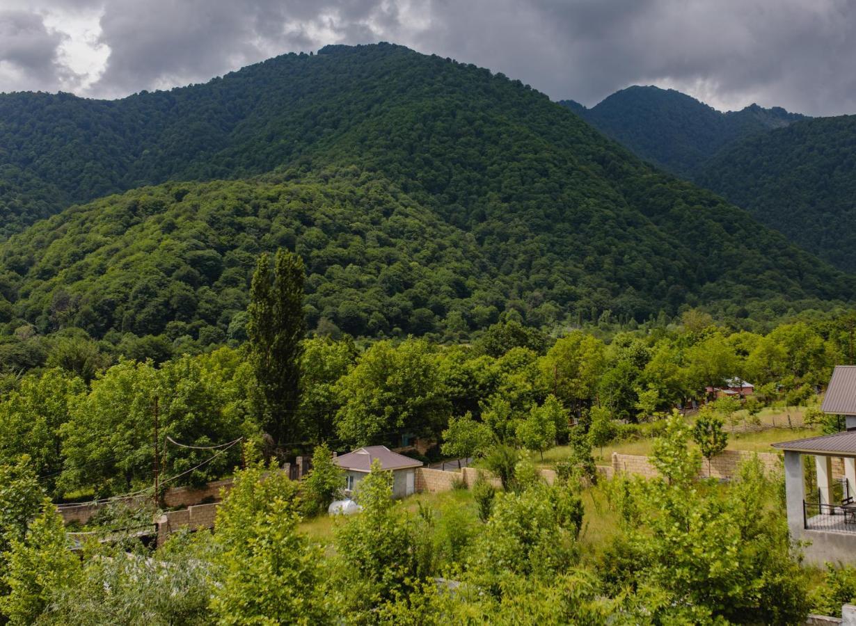 White Boutique Hotel Kebele Dış mekan fotoğraf